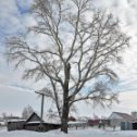 Фотография от Александр Данильчев