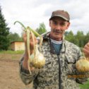 Фотография "Вот, посадил дед репку ...."