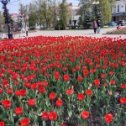 Фотография "Весна... Тамбов 2024"