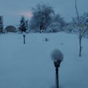 Фотография "Зимнее утро во дворе... "