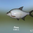 Фотография "https://ok.ru/game/trophyfishing2?2757 Лещ, Карповые, 0.959kg, Волга, База Волга, TF-3000, Перловка.  #Лещ #Карповые #Волга #База Волга #Перловка #trophy #fishing #fish #трофейная #рыбалка #рыба"