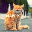 Фотография "Март ! Марррт !!!  :-)"