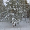 Фотография "Снежные дни уходящего года. "