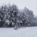 Фотография от Виталий Судас