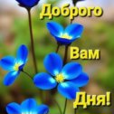 Фотография от Валентина Андреева (Красноштан)