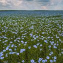 Фотография от Зубаржат Зайнетдинова(Шарафутдино