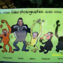 Фотография "Зоопарк во Франции 2011"