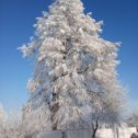 Фотография от Татьяна Бурачевская