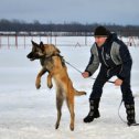 Фотография "ВП Клир Рождественский тренинг"