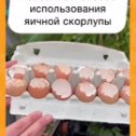 Фотография от Наталья Ивановна Височан (Жигала)