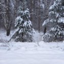 Фотография "Зима в д. Смольки"