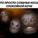 Фотография от Роман Ружин