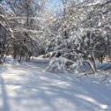 Фотография от Галина Горожанина