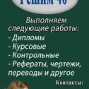 Фотография от Решим Калуга дипломы курсовые