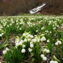 Фотография от Іван ВІшован