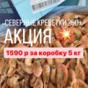 Фотография "АКЦИЯ🔥 северные креветки шоковой заморозки без глазури 1590р за коробку 5 кг💥
Оплата наличным расчетом"