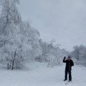 Фотография "В зимнем лесу) "