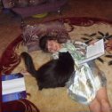Фотография "Ну, подумаешь, место на диване не хватило!На полу с котом прохладнее!Читаю....."
