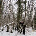 Фотография "Крымский лес зимой"
