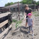 Фотография от юля прокопец-литвиненко