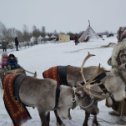 Фотография от галина кудряшова(соловьева)