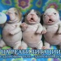 Фотография от Центр Реабилитаций