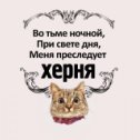 Фотография от ♒ ВЛАДиМИР Котов