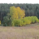 Фотография от Алексей художник рекламные мастерские