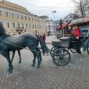 Фотография от Сергей Метелкин