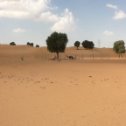 Фотография "pustynja v Dubai"