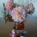 Фотография "Мои хризантемы в этом году"