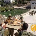 Фотография "Армия Израиля не бросает своих на поле боя"