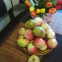 Фотография "яблочки с дачи"