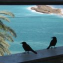 Фотография "вид из окна гостиницы на мертвое море"