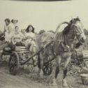 Фотография "1975 год конь Орлик с/з Юбилейный"