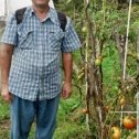 Фотография "2023. 09. 02  Окрестности Хабаровска.   Тружусь мерилом роста для помидоров на огороде - 3."