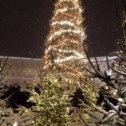 Фотография "Новогодняя елка на Дворцовой площади. 2023 год."