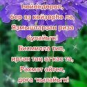 Фотография от 💞💞💞 Аля🌹🌹🌹