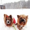 Фотография от Марина Головнева