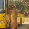 Фотография от Воронин Геннадий