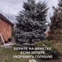 Фотография от Ефросинья Цыганкова