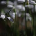 Фотография "💕Аю-Даг цветёт и благоухает!
⠀
☝️Берегите природу - она прекрасна! 🙂
⠀
👍Автор фото Гера Решетникова (vk.com/id35513637)"