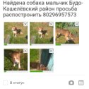 Фотография от витя савостьянов