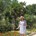 Фотография "Никитский ботанический сад, август 2011"