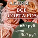 Фотография от ПИТОМНИК ЭКО-САД ВОСТОЧНЫЙ