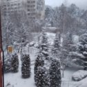 Фотография "Вот и в Кисловодск пришла зима. На улице - 12"