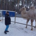 Фотография "Экопарк Чкаловские дачи"