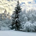 Фотография от Светлана Лукашина