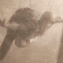 Фотография "Я над Качей. Проявляли старым проявителем, пэтому такое качство"