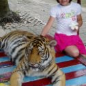 Фотография "Диана в Тайланде с любимым хищником"